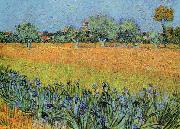 Vincent Van Gogh View of Arles With Iris oil